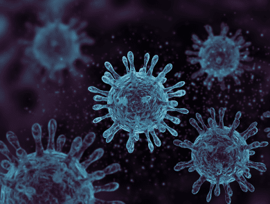 Contributing to the pandemic preparedness approach